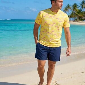 Flamingo & Chairs Jersey Print Crew